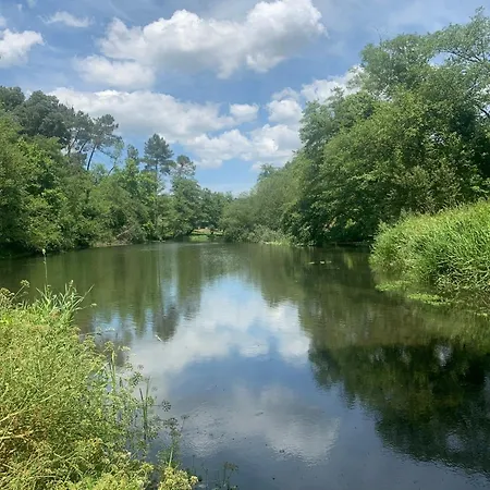 Riverlodge3 Villa Amares