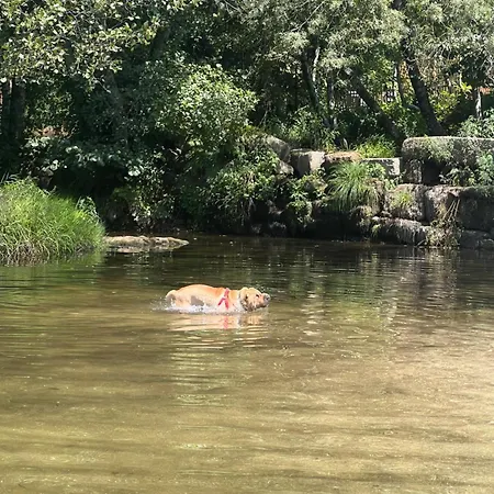 Riverlodge3 빌라
